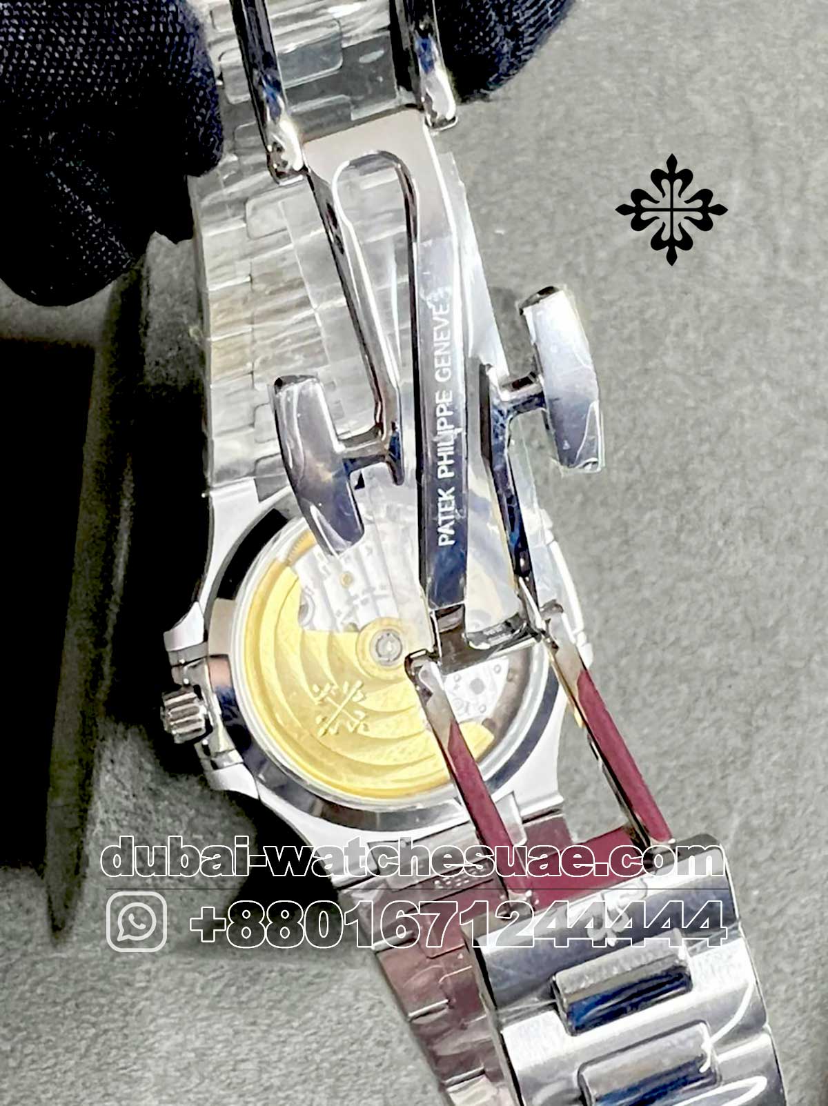 pb-6 pb 6